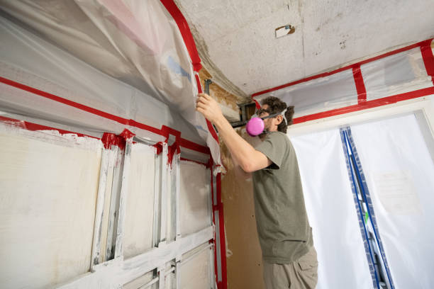 Mold Removal for HVAC Installations in Mcconnellsburg, PA